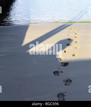 deep footprints in soft sand leading to the waters edge. Stock Photo