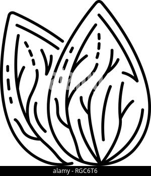 Fresh almond nut icon, outline style Stock Vector