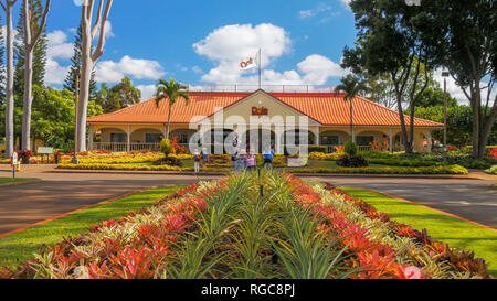 MILILANI, UNITED STATES OF AMERICA - JANUARY 12, 2015: a view of the dole pineapple plantation at mililani in hawaii Stock Photo