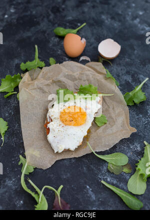 Fried egg on slice of brown bread coated with paprika cream