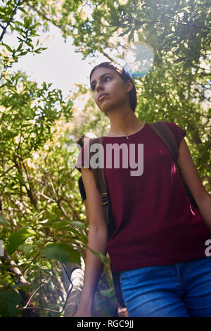 Spain, Canary Islands, La Palma, female hiker in a forest looking around Stock Photo