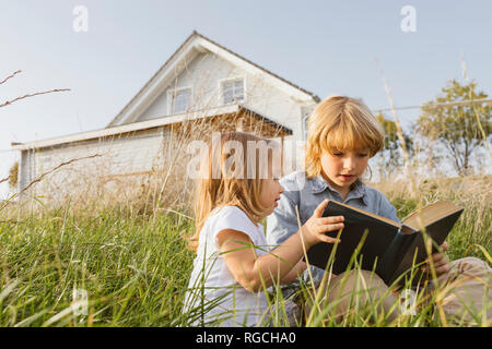 Brother and his little sister sitting on a meadow reading a book Stock Photo