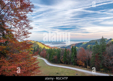 Germany, Upper Bavaria, Aschau, Autumn forest, View to Chiemsee in the evening Stock Photo