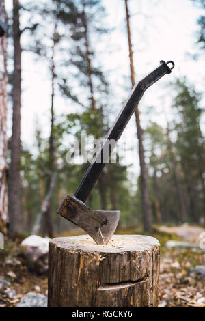 Axe on tree stump Stock Photo