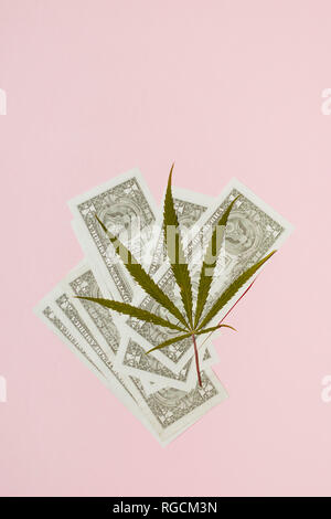 Cannabis leaf on pink background. concept for illegal drug market Stock Photo