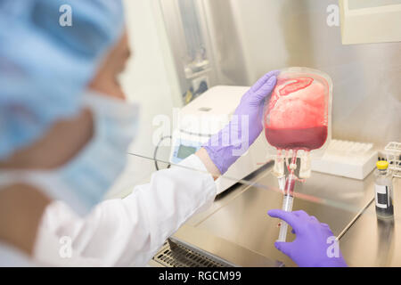 Scientist working with blood bag in lab Stock Photo