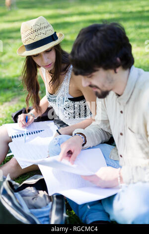 Two students sitting on a meadow in a park looking at notes Stock Photo