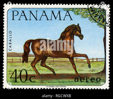 Postage stamp from Panama in the Domestic animals series issued in 1967 Stock Photo