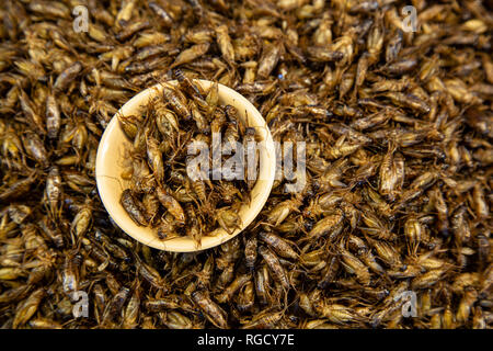 An arrangement of a traditional Thai street food snack of deep fried bugs or insects found in the local market. Stock Photo