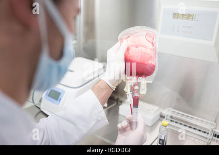 Scientist working with blood bag in lab Stock Photo