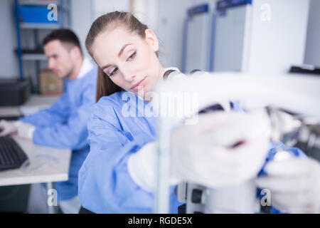 Lab technician working in lab Stock Photo