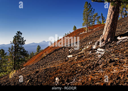 42,279.05098 steep Mokst Butte red cinder cone hillside, distant Cascade Mountains Mts, Ponderosa pines conifer trees forest landscape Stock Photo