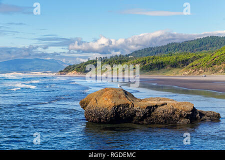 43,362.02366 ocean beach landscape seascape shoreline green conifer forest, boulder in water with Western seagull bird standing on top, blue water sky