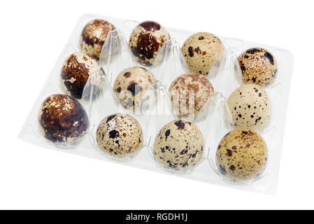A  twelve fresh quail eggs in a plastic protective container for Easter. Isolated on white with patch studio macro Stock Photo
