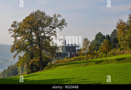 Meggenhorn Castle with vineyard in Lucerne, Switzerland. The castle is a Swiss heritage site of national significance. Stock Photo