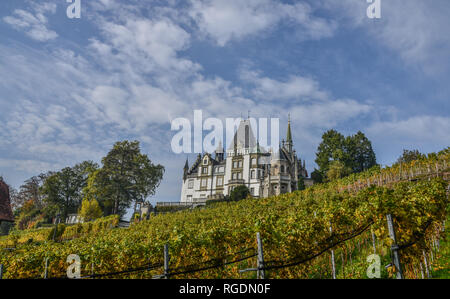 Meggenhorn Castle with vineyard in Lucerne, Switzerland. The castle is a Swiss heritage site of national significance. Stock Photo