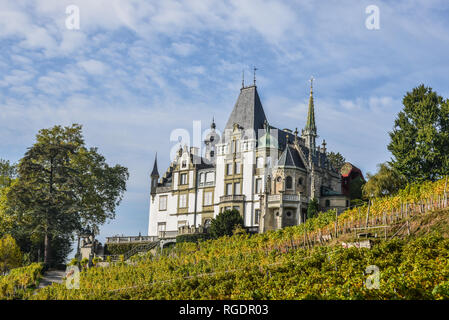 Meggenhorn Castle with vineyard in Lucerne, Switzerland. The castle is a Swiss heritage site of national significance. Stock Photo