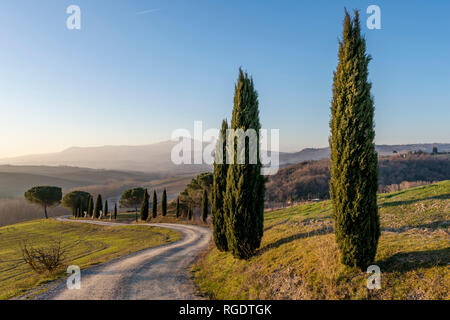 A dirt road winds through the Sienese countryside near San Quirico, Siena, Tuscany, Italy Stock Photo