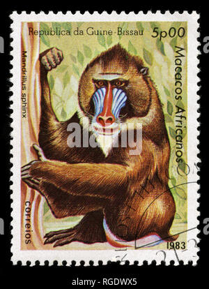 Postage stamp from Guinea-Bissau in the African primates series issued in 1983 Stock Photo