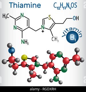 Thiamine (thiamin or vitamin B1) , found in food, used as a dietary supplement and medication.  Structural chemical formula and molecule model. Vector Stock Vector