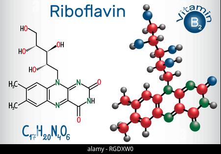 Riboflavin, (vitamin B2) , is found in food and used as a dietary supplement.  Structural chemical formula and molecule model. Vector illustration Stock Vector