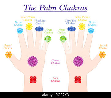 Palm chakras. Symbols and names of the main chakras at the corresponding parts of both hands - illustration on white background. Stock Photo