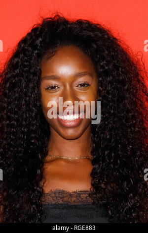 Hollywood, California, USA. 28th Jan, 2019. Jessica Allain at Paramount Pictures' 'What Men Want' Premiere held at the Regency Village Theatre in Westwood, CA, January 28, 2019. Photo Credit: Joseph Martinez / PictureLux Credit: PictureLux / The Hollywood Archive/Alamy Live News Stock Photo