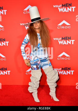 Los Angeles, USA. 28th Jan, 2019. LOS ANGELES, CA. January 28, 2019: Erykah Badu at the US premiere of 'What Men Want!' at the Regency Village Theatre, Westwood. Picture Credit: Paul Smith/Alamy Live News Stock Photo