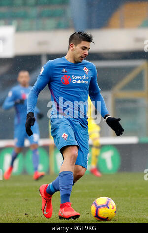 Foto Paola Garbuio/LaPresse 27 gennaio 2019 Verona, Italia sport calcio Chievo Verona  vs Fiorentina- Campionato di calcio Serie A TIM 2018/2019 - stadio Bentegodi Nella foto: simeone giovanni  Photo Paola Garbuio/LaPresse January 27, 2019 Verona, Italy sport soccer Chievo Verona  vs Fiorentina - Italian Football Championship League A TIM 2018/2019 -  stadio Bentegodi. In the pic:simeone giovanni Stock Photo