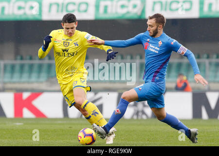 Foto Paola Garbuio/LaPresse 27 gennaio 2019 Verona, Italia sport calcio Chievo Verona  vs Fiorentina- Campionato di calcio Serie A TIM 2018/2019 - stadio Bentegodi Nella foto: stepinski mariusz  Photo Paola Garbuio/LaPresse January 27, 2019 Verona, Italy sport soccer Chievo Verona  vs Fiorentina - Italian Football Championship League A TIM 2018/2019 -  stadio Bentegodi. In the pic:stepinski mariusz Stock Photo