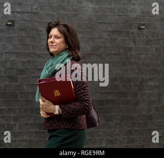 London, UK. 29th Jan 2019.  Clair Perry, Energy Minister, arrives at a Cabinet meeting at 10 Downing Street, London Credit Ian Davidson/Alamy Live News Stock Photo