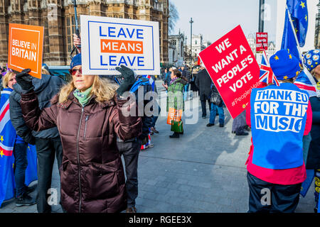 London, UK. 29th Jan 2019.  Leave means leave and SODEM, pro EU, protestors continue to make their points, side by side, outside Parliament as the vote on Theresa May's plan is due this eveningy. Credit: Guy Bell/Alamy Live News Stock Photo