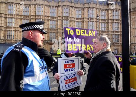 London, UK. 29th Jan, 2019. “Leave Means Leave” supporters congregate outside Parliament ahead of Brexit vote. Credit: Brian Minkoff/Alamy Live News Stock Photo