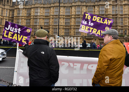 Westminster, London, UK. 29th january 2019. Different groups protesting for and aganst Brexit stage demonstrations opposite Parliament. Credit: Matthew Chattle/Alamy Live News