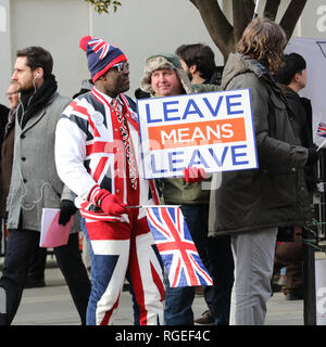 Westminster, London, UK, 29th Jan 2019. Leave Means Leave activist and protester Joseph Afrane in Union Jack outfit. Activists from both the pro Brexit and Remain campaigns protest in Westminster around the Houses of Parliament and College Green today, as Parliament is due to take decisions on amendments and vote on the Brexit deal once again. A heavier than usual police presence is noticeable and aggressions flare up throughout the day. Credit: Imageplotter News and Sports/Alamy Live News Stock Photo