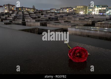 Berlin, Germany. 28th Jan, 2019. A rose, strewn with raindrops, lies in the darkness on one of the wet concrete cubes of the monument to the murdered Jews of Europe. On Thursday (31.01.2019) the members of the Bundestag commemorate the victims of National Socialism. The commemorative speech will be delivered by the Israeli historian and Holocaust survivor Friedländer. Credit: Stefan Jaitner/dpa/Alamy Live News Stock Photo