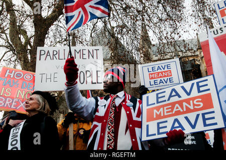 Westminster, London. January 29th 2019. Demonstrators, for and against Brexit, outside Houses of Parliament as amendments to the European withdrawal agreement are voted on. A patriotic black man wearing a Union Jack waistcoat waves a Union Jack and holds a sign saying 'Leave means Leave'. Credit: Jenny Matthews/Alamy Live News Stock Photo