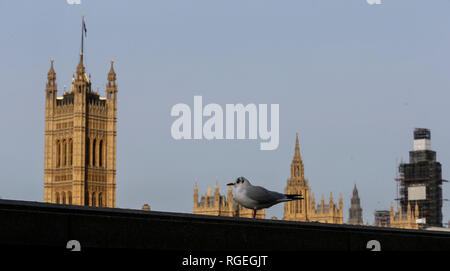 London, UK. 29th Jan, 2019. Photo taken on Jan. 29, 2019 shows the Houses of Parliament ahead of the Brexit deal amendments votes in the House of Commons in London, Britain. Credit: Han Yan/Xinhua/Alamy Live News
