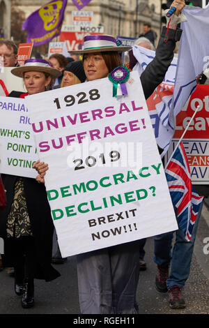 London, UK. - Jan 29, 2019:Leave campaigner Belinda De Lucy dressed, as a suffragette, protests outside Parliament on a crucial day for Brexit discussion inside the House of Commons. Credit: Kevin J. Frost/Alamy Live News Stock Photo