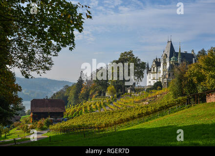 Meggenhorn Castle with vineyard in Lucerne, Switzerland. The castle is a Swiss heritage site of national significance. Stock Photo