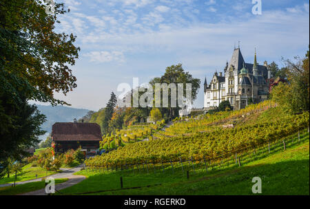 Meggenhorn Castle with vineyard in Lucerne, Switzerland. The castle is a Swiss heritage site of national significance. Stock Photo