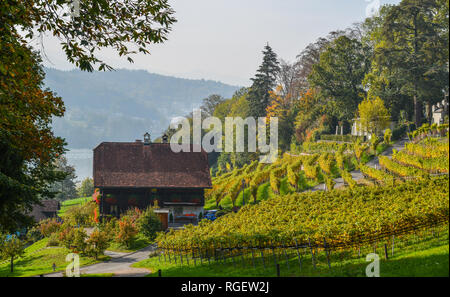 Meggenhorn Castle with vineyard in Lucerne, Switzerland. The castle is a Swiss heritage site of national significance. Stock Photo