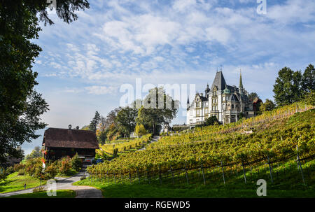 Meggenhorn Castle with vineyard in Lucerne, Switzerland. The castle is a Swiss heritage site of national significance. Stock Photo