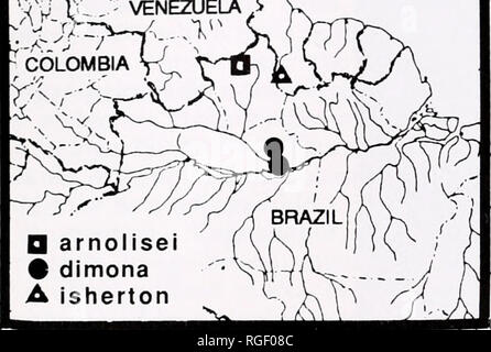 . Bulletin of the Museum of Comparative Zoology at Harvard College. Zoology. '&gt;&gt;^r^^^'^'^ ' '-^GUYANA 'XJX'^ '' VENEZUELA y ). O arnolisei # dimona A isherton Map 3. Distribution of Hingstepeira species. Hingstepeira folisecens (Hingston) Plate 1; Figures 21-34; Map 3 Epeira folisecens Hingston, 1932; 364, figs. 51, 52, webs. Female from Moraballi Creek, 2 mi [3.2 km] east of Essequibo River, 12 mi [19 km] south of Bartica, Guyana, lost. Not in BMNH, HECO. Larinia bristowei Mello-Leitao, 1940: 180, figs. 6, 7, S. Male holotype from Moraballi Creek, Essequibo River, Guyana, in BMNH, e Stock Photo
