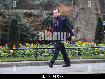 Wales Secretary Alun Cairns arrives in Downing Street, London, for a cabinet meeting. Stock Photo