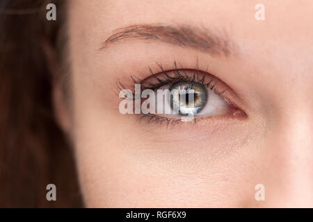 macro shot of beautiful female blue eye Stock Photo