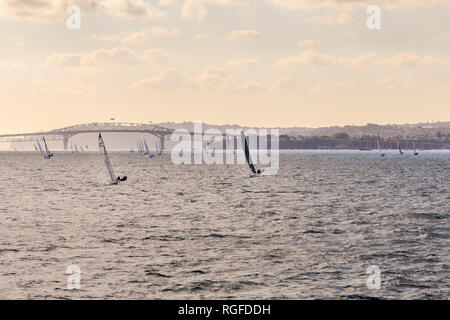 Sailing boats with people leaning out over the edge to balance the weight. Many other boats and Auckland Harbour Bridge in the background. Stock Photo