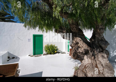 Museum of Agricultural History Casa Museo del Campesino. Stock Photo