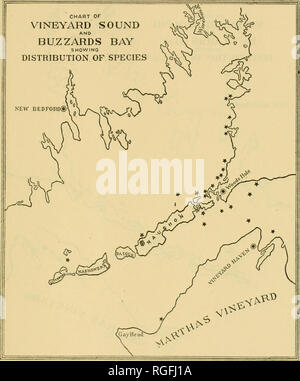 . Bulletin of the Bureau of Fisheries. Fisheries; Fish culture. BIOLOGICAL SURVEY OF WOODS HOLE AND VICINITY. 5&quot;. Chart 241.—Griffithsia Bometiana Farlow. Local distribution almost restricted to the warmer waters of Buzzards Bay and Vineyard Sound.. Please note that these images are extracted from scanned page images that may have been digitally enhanced for readability - coloration and appearance of these illustrations may not perfectly resemble the original work.. United States. Bureau of Fisheries. Washington, D. C. : Govt. Print. Off. Stock Photo