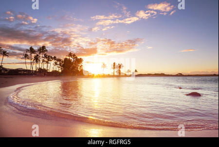 Amazing hawaiian beach at fantastic sunset. Beautiful holidays background. Stock Photo